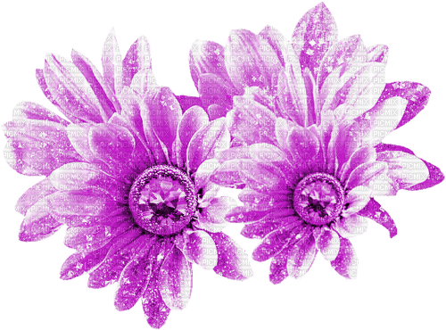 Flowers.Purple - δωρεάν png