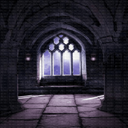 Y.A.M._Gothic Fantasy background Interior - 無料png