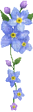 flower - Zdarma animovaný GIF