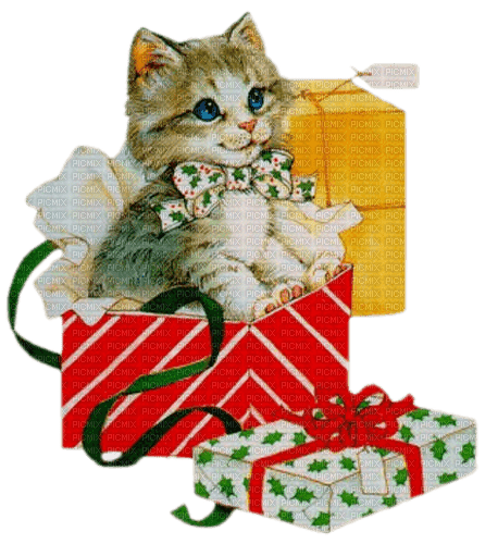 Noël chat - png gratis