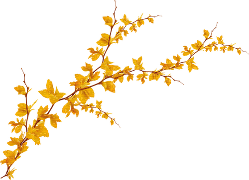 Rama de otoño - фрее пнг