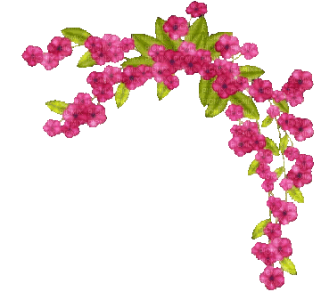 pink flowers - GIF animado grátis