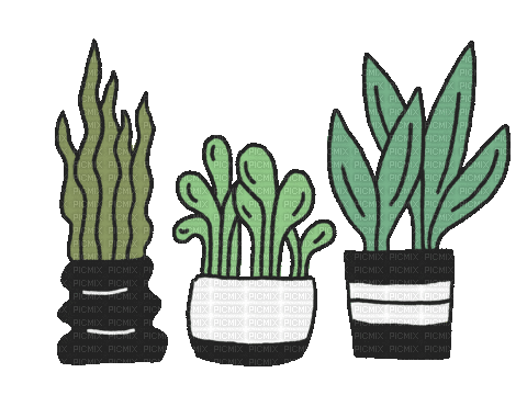 Plant Grow - GIF เคลื่อนไหวฟรี