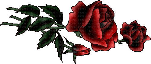 rose flower - GIF animé gratuit