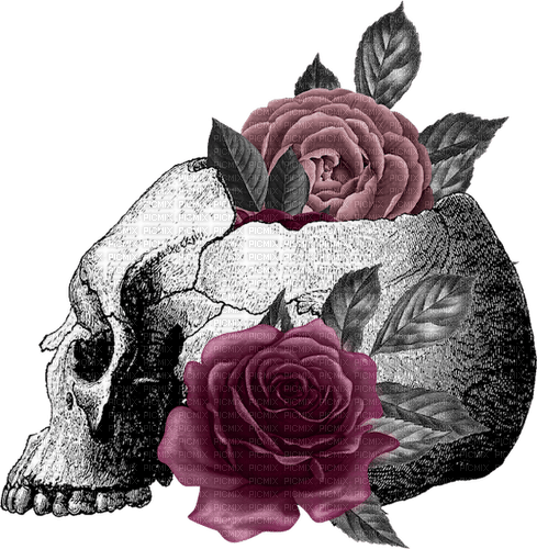 Gothic.Skull.Roses.Deco.Victoriabea - Free PNG