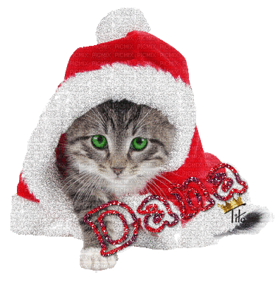 chat Noël - GIF animé gratuit