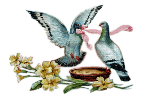 Rena Vintage Tauben Doves - besplatni png