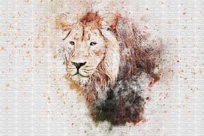 MMarcia aquarela leão fundo - δωρεάν png