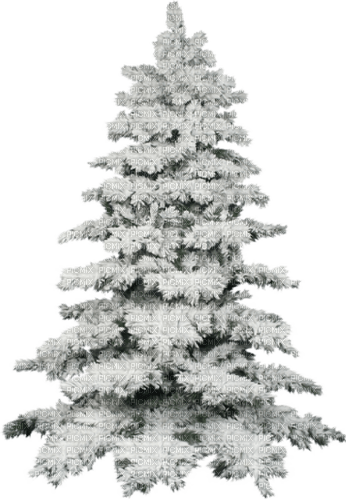 winter tree snow - Free PNG