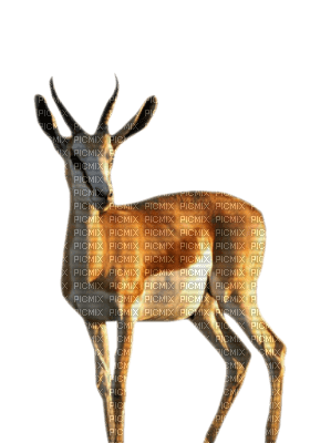 gazelle - безплатен png