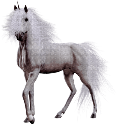 Kaz_Creations Animals Horses Horse - ingyenes png