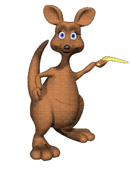 Australia animals bp - Darmowy animowany GIF