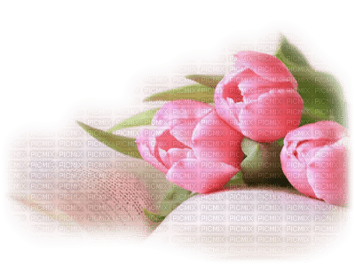 rosado - besplatni png