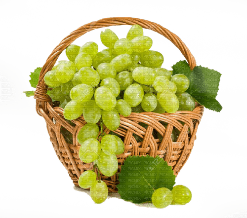basket with white grapes - ingyenes png