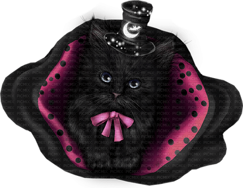 Cat.Black.Pink.Purple - ücretsiz png