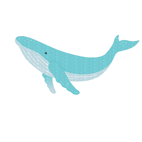 Blue Whale - Gratis animeret GIF