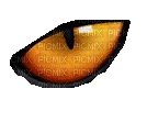 oeil chat orange - Бесплатный анимированный гифка