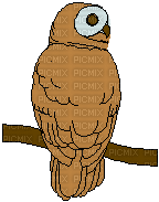 owl katrin - Bezmaksas animēts GIF
