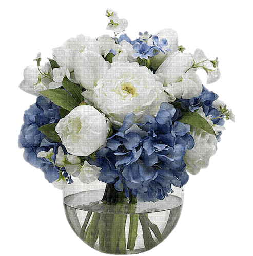 Hydrangeas and Roses - bezmaksas png