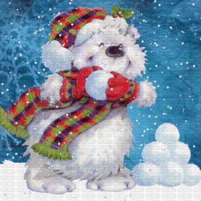 bear fun snow neige winter hiver paysage landscape fond background animal bär ours teddy image  christmas noel xmas weihnachten Navidad рождество natal   gif anime animated animation - GIF animé gratuit