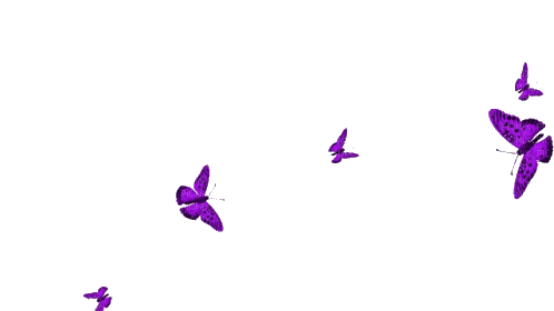 butterflies - Gratis animerad GIF