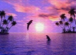 dauphin coucher de soleil rose et violet - gratis png