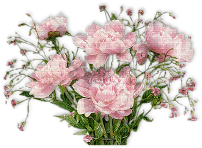 Flowers pink bp - zadarmo png