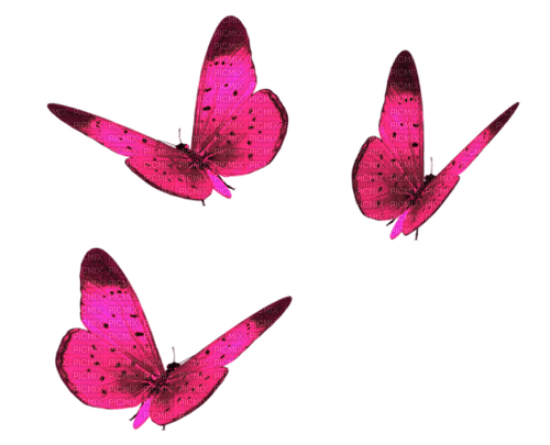 Butterflies.Pink - png gratis