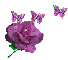 sparkle rose with butterflies - Free animated GIF