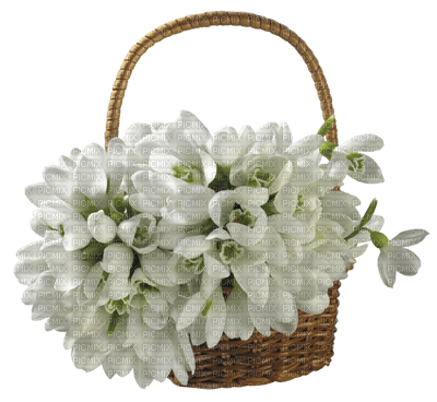 Kaz_Creations Flowers Deco Flower Colours Basket - png ฟรี