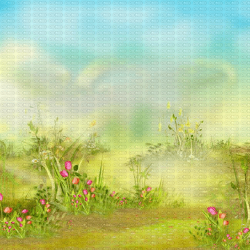 Y.A.M._Summer background - δωρεάν png