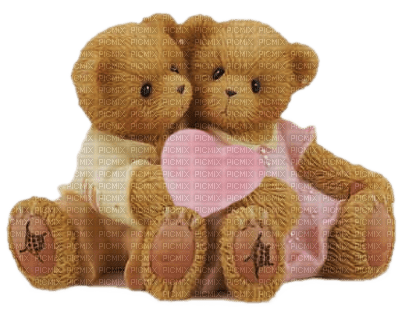 plush teddy couple - paintinglounge - zdarma png