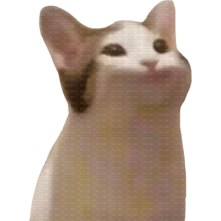 Pop Cat Meme PNG