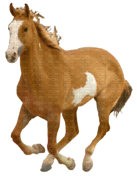 horse katrin - δωρεάν png