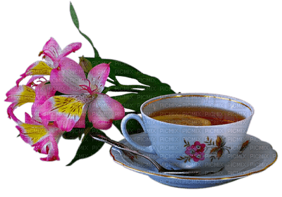 Kaz_Creations Coffee Tea Cup Saucer - PNG gratuit
