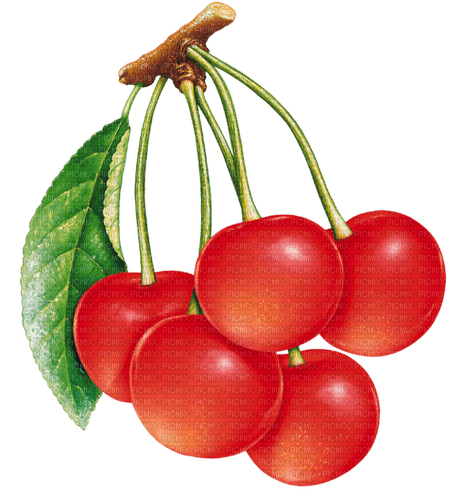 Cherries Bb2 - png grátis
