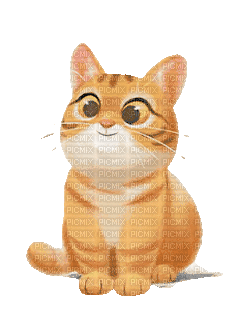 Cat.Chat.Gato.gif.Victoriabea - GIF animasi gratis
