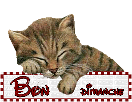 Bon Dimanche ** - Nemokamas animacinis gif