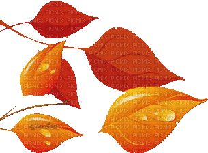 Осенние листья - Darmowy animowany GIF