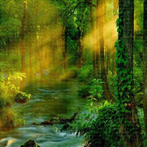 autumn deco kikkapink forest fantasy - PNG gratuit