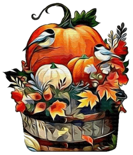nbl-autumn pumpkin - фрее пнг