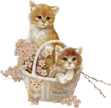 chatons dans un panier en osier - Gratis geanimeerde GIF
