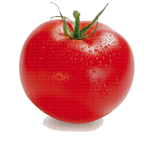 nbl-tomato - nemokama png