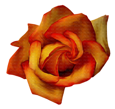 image encre couleur anniversaire mariage texture fleur rose edited by me - gratis png