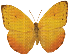 Kaz_Creations Butterfly - ingyenes png