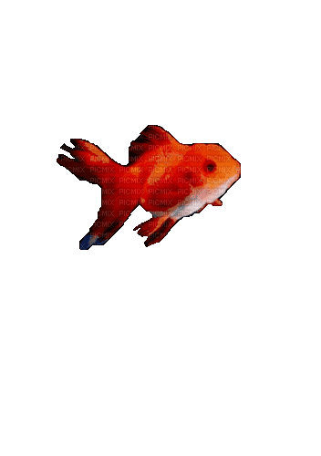 Рыба - Gratis geanimeerde GIF