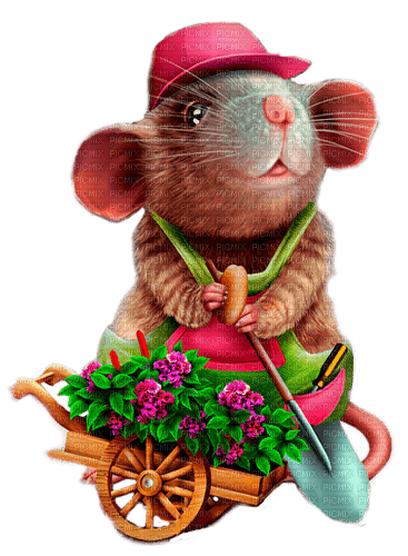 mouse by nataliplus - png ฟรี