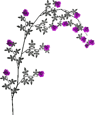 soave deco animated branch flowers rose black - Bezmaksas animēts GIF