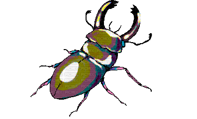 scarab - Бесплатный анимированный гифка