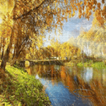 autumn landscape rain bg gif river - Free animated GIF